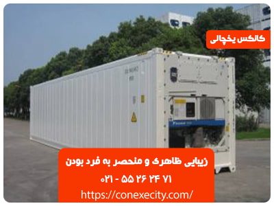 زیبایی ظاهری و منحصر به فرد بودن